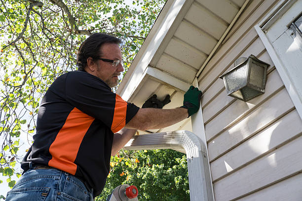 Best Shed Removal  in Honeyville, UT